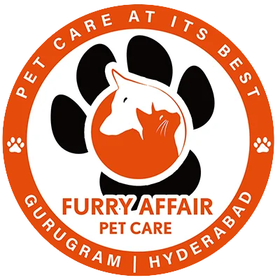 Furry Affairs